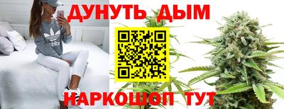 прущие грибы Краснокаменск