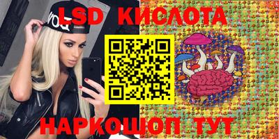 прущие грибы Краснокаменск