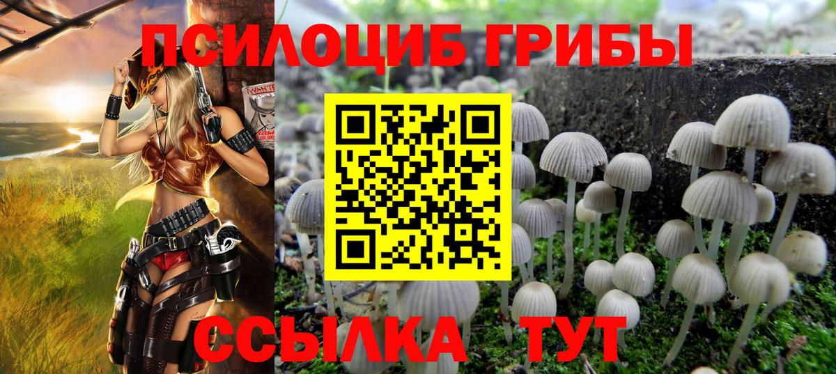 Галлюциногенные грибы мицелий Кизляр