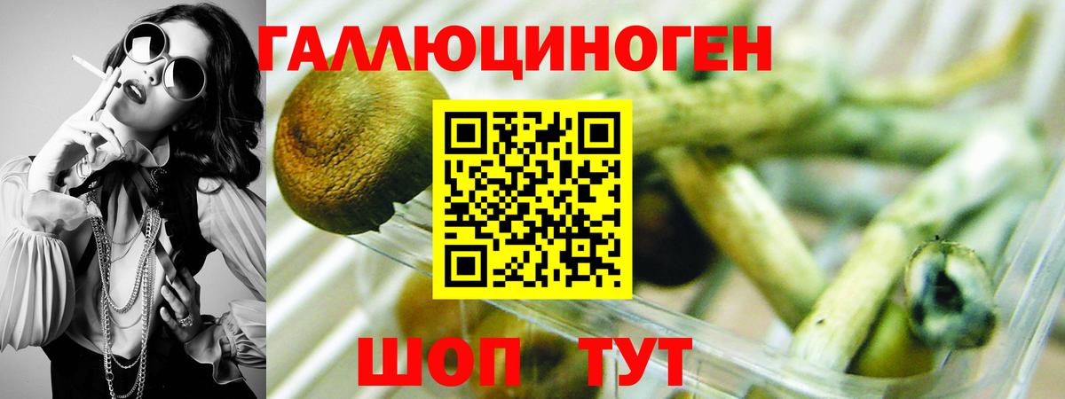 Галлюциногенные грибы мухоморы  Галлюциногенные грибы GOLDEN TEACHER  Кизляр  Вход с VPN 